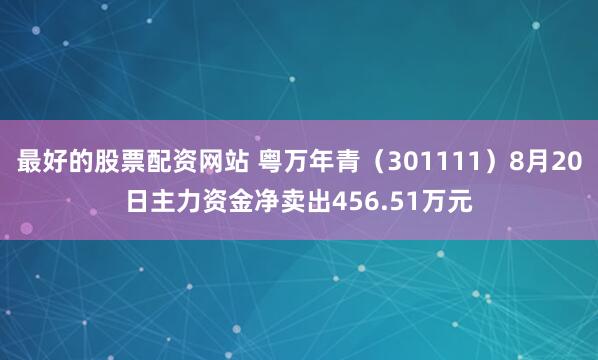 最好的股票配资网站 粤万年青（301111）8月20日主力资金净卖出456.51万元
